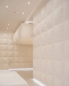 A minimalist interior with white paneling on the walls and ceiling.