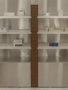 A metal shelving unit with various boxes of medication or products on its shelves.
