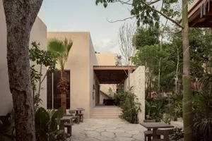 Concrete patio with wooden seating surrounded by lush greenery and palm trees.