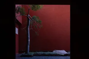 A minimalist scene featuring a red wall, tree, and rock