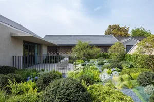 A well-designed modern outdoor space featuring lush green vegetation including ferns, hydrangeas, and other ornamental plants