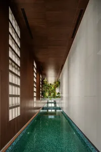 Modern indoor swimming pool lined with green tropical plants, glass wall tiles, and wooden paneling.