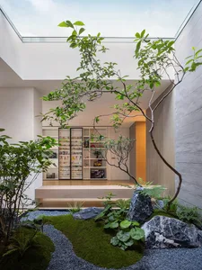 A modern residential interior space with a minimalist design, featuring a small courtyard with moss, rocks, and plants.