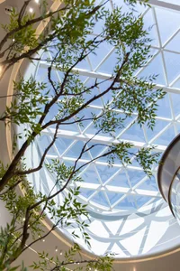 A modern interior space featuring a glass ceiling with geometric patterns, surrounded by green branches.