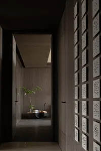 A minimalist entrance featuring wood panels and a potted plant.