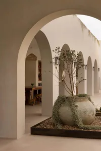 A minimalist interior with a concrete garden space featuring an arched walkway and a large vase with climbing plants.