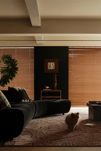 A modern minimalist living room with wooden blinds, a dark-colored sofa, and a small dog walking on a patterned rug.