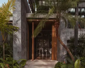 An entrance with stone walls, glass panels, and a wooden door surrounded by tropical plants, designed in a modern style.