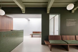 A minimalist office interior with green and wooden elements.