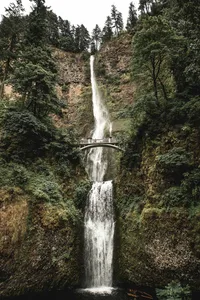 A waterfall cascading down a steep cliff surrounded by lush greenery.