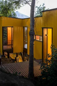 A modern house with a yellow corrugated metal exterior featuring black accents and a tree in front of it.