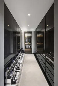 Modern minimalist closet with sleek black furniture and glass cabinets