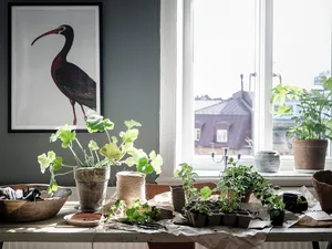An industrial-style interior design scene featuring wood elements and various plants.