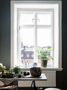 A window sill with various plants, pots, and gardening tools.