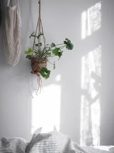 A minimalist indoor living room scene featuring a white wall with sunlight filtering through, a hanging plant in a macrame ho