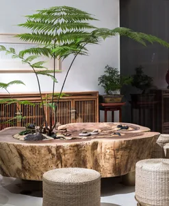A modern, indoor wooden desk with a live fern plant and decorative rocks, surrounded by woven stools.