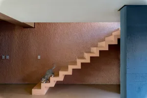 A modern staircase with a textured concrete finish and a cat climbing up it.