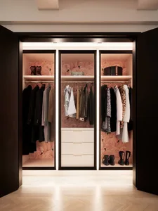 Modern interior design closet with wood finishes and built-in storage