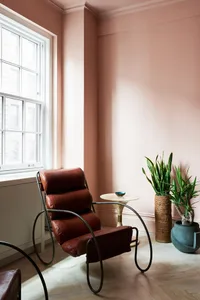 A cozy modern interior with a soft pink leather armchair, metal frame, and potted plants.