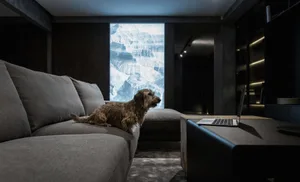 A small, brown dog sitting on a grey sofa in a minimalist living room with a large window displaying a snowy mountain scene.