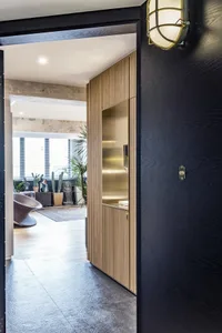 Modern residential interior featuring wooden cabinets and a brass sconce.