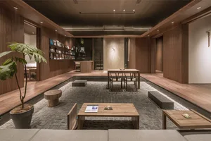 A modern minimalist living space with wooden furniture and a potted plant.