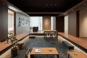 Modern and minimalist living room with wooden surfaces, books on shelves, and a potted plant.