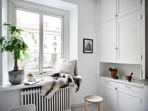 A minimalist residential windowsill with a fur blanket, a green plant in a ceramic pot, and a black radiator.