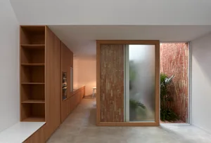 Modern minimalist residential interior with wooden cabinetry, glass sliding door, and greenery.