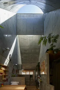 A modern industrial kitchen with concrete walls and high ceiling, featuring a wooden dining table and various plants.