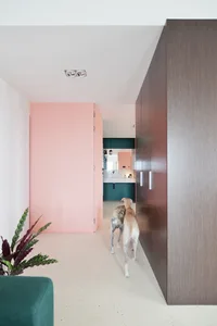 Dog walking down a hallway with a pink wall on the left, a dark wooden wall on the right, and a green plant on the left side