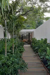 A modern landscape featuring wooden pathways and lush green plants.
