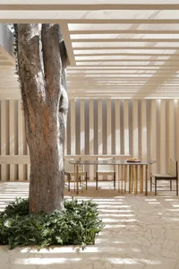 A modern interior space with sandstone walls and a tree trunk centerpiece.