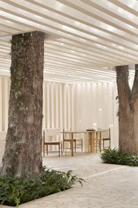A modern minimalist restaurant interior with wooden tables and chairs, large windows, and natural light.
