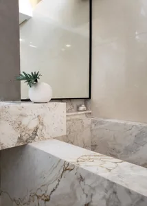 A minimalist room with marble surfaces and a white vase holding green leaves.