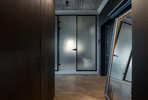 Modern minimalist interior featuring frosted glass doors and wooden flooring.