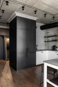 Modern industrial-style kitchen with black-stained wood cabinets, concrete backsplash, and white lacquer accents.