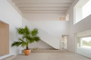 A minimalist interior with concrete walls, floor, and stairs, featuring a potted palm plant and a few small decorative items.