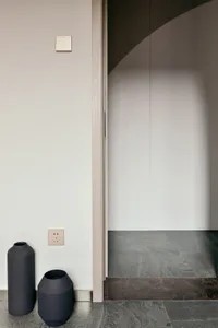 A minimalist entryway featuring sleek, black vases and a sleek, curved wall.