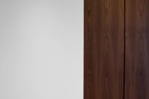 A close-up view of a wooden door with a minimalist design.