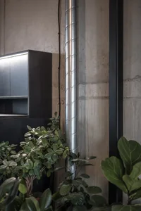 Concrete walls, green plants, and a black cabinet in an industrial-style interior design.