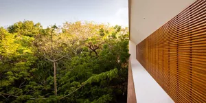 A modern architectural view featuring wooden blinds and lush green trees against a clear sky.