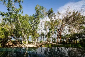 A serene beach retreat with natural elements and a calm pool.