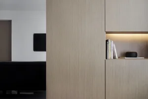 Modern living room featuring a wooden storage unit with built-in lighting and books.