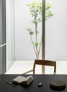 簡約書桌搭配黑色桌面、木質椅子，以及背景中的綠色植物。