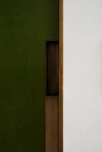 Close-up of a modern metal door handle on a green wooden door.