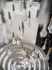 Industrial-style glass lightbulbs with brass fixtures hanging from a ceiling fixture.