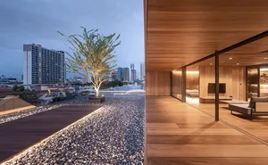 Modern indoor space featuring wooden elements and a tree on the rooftop.