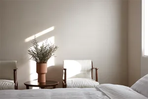 A minimalist residential room featuring fabric seating, wooden chairs with terracotta plant pots.