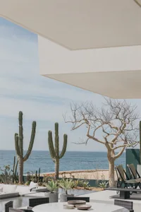 Concrete patio overlooking the ocean with a modern architectural design.